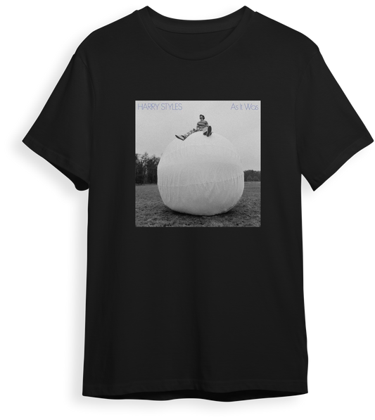 Camiseta Harry Styles As it was